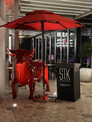 STK Aventura by null