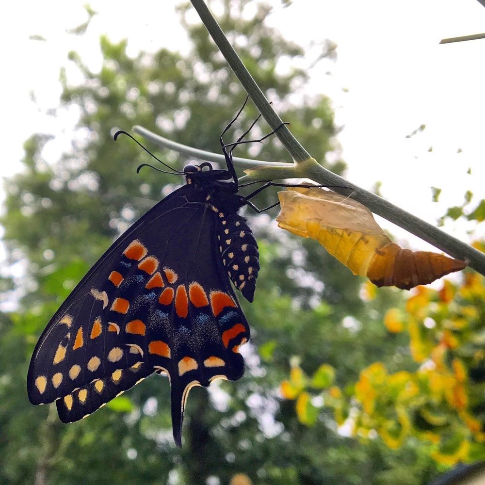 Mountain View Learning A Reggio Emilia Program - childcare center in East Haven, CT