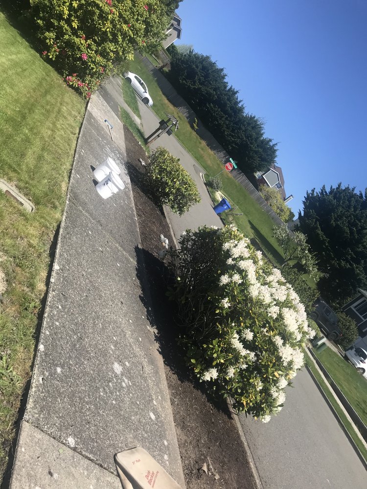 Slide of Cline & Maib