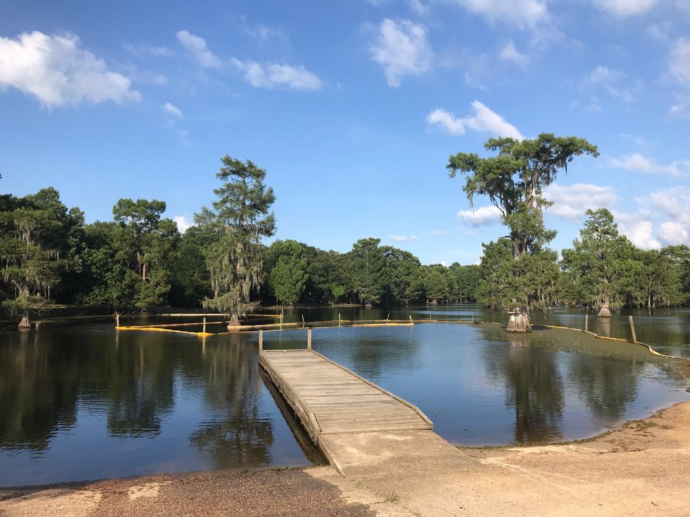 LAKE BISTINEAU STATE PARK 13 Photos Parks 103 State Park Rd
