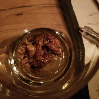 Mesa Coyoacan - Crickets: B. Served as drink finger food. Good but inconsistently spiced. - Mexican Near Me - Brooklyn, New York Mesa Coyoacan - Crickets: B. Served as drink finger food. Good but inconsistently spiced. - Mexican Near Me - Brooklyn, New York