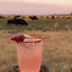 The 86 Bar - Mexican Candy Cocktail