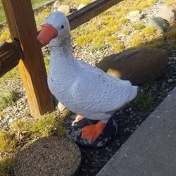 Jb's Drive-In Restaurant - Quaint little goose decor outside