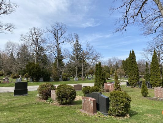Mount Pleasant Cemetery by null