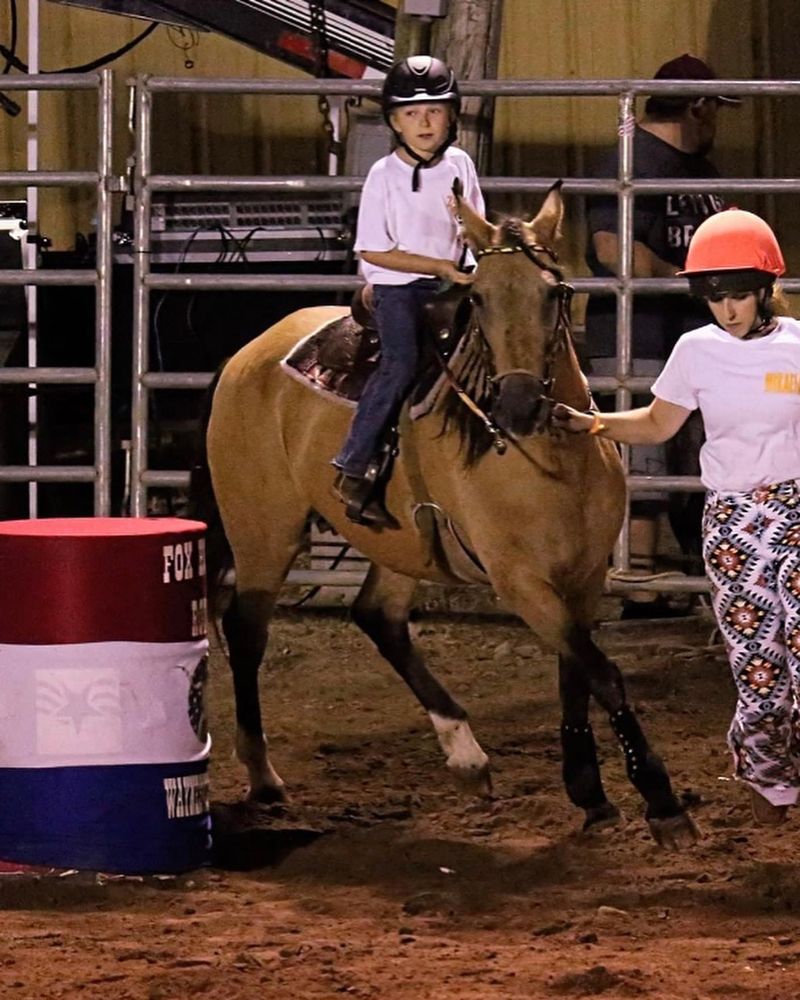 7 SE Training - equestrian in Beavercreek, OH