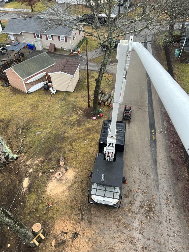 GOMEZ LANDSCAPING & TREE REMOVAL Updated September 2024 185 Salem