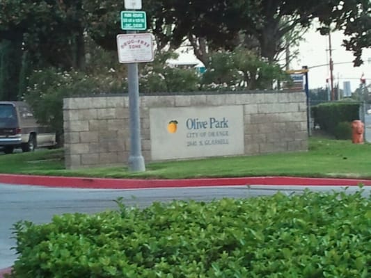 Olive Park by null