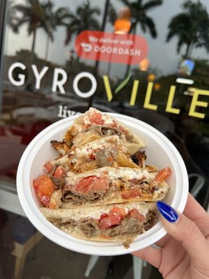 GYROVILLE PLANTATION by null