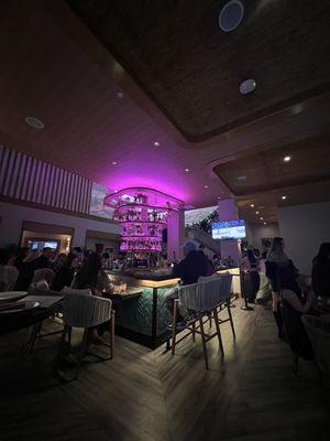 PALM TREE CLUB - Updated February 2026 - 144 Photos & 41 Reviews - 14 E