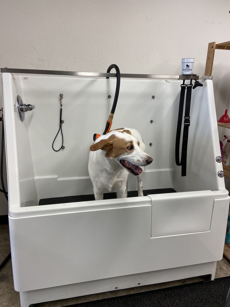 Pet Food Warehouse Image