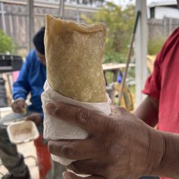 Carnitas Burrito