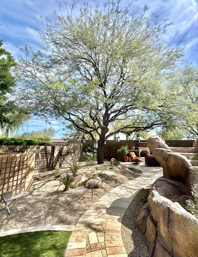 Greenway Tree Service - tree service in Phoenix, AZ