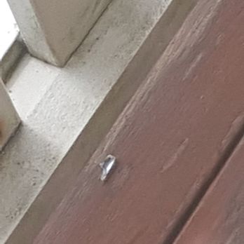 Dads Glass First Class - 09.03.2018 Coopers Plains Brisbane Rental broken glass left in entry, patio and front stairwell by Dads Glass First Class - Windows Installation Near Me - Burleigh Heads, QLD