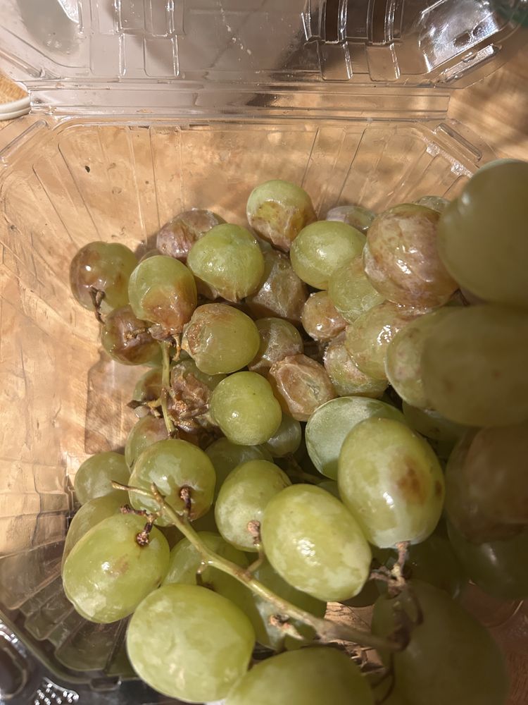 The Action Center - social services organization in Lakewood, CO