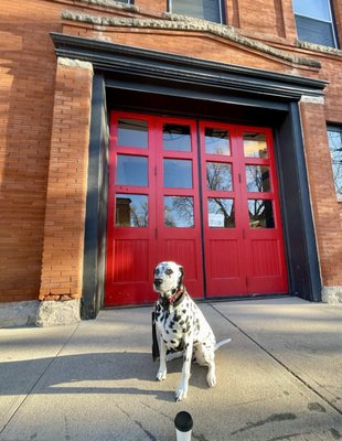 Steam Espresso Bar by null