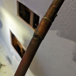 Dried Piper Plumbing