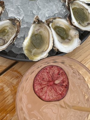 Black Cactus of Avalon by null