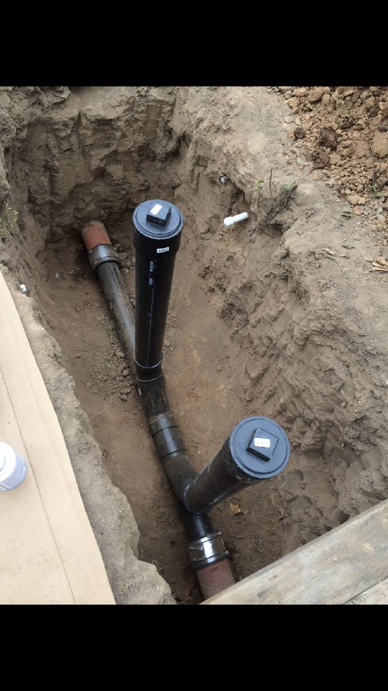 Slide of Idaho Snake-a-Drain