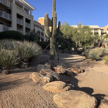 JW Marriott Phoenix Desert Ridge Resort & Spa - Desert botanical garden - Hotels Near Me - Phoenix, Arizona