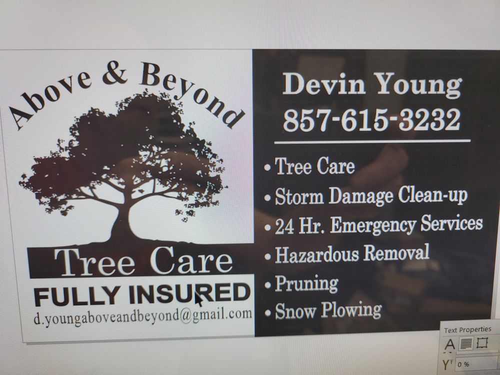 Above & Beyond Tree Care - tree service in Newton, MA