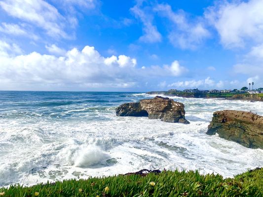 Natural Bridges State Beach by null