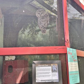 Springbrook Nature Center - Owl! - Arts & Entertainment Near Me - Itasca, Illinois