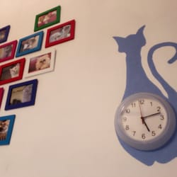 Cat Café