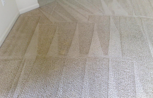 Residential Services - When it comes to maintaining a pristine home environment, understanding various carpet cleaning methods is key. Steam cleaning works by using hot water extraction to lift dirt, allergens, and deep-seated stains, making it an excellent choice for family spaces and local homes aiming to reduce dust and moisture. Residential Services - When it comes to maintaining a pristine home environment, understanding various carpet cleaning methods is key. Steam cleaning works by using hot water extraction to lift dirt, allergens, and deep-seated stains, making it an excellent choice for family spaces and local homes aiming to reduce dust and moisture.
