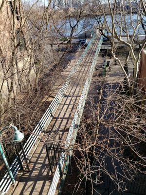 Peter Detmold Dog run