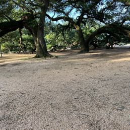 Middle picnic area
