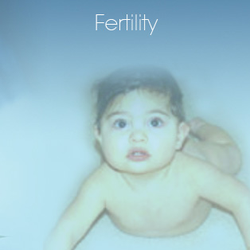 Way of Wellness Healthcare - Dr. Shasta Ericson L.Ac., D.A.O.M. is a Holistic Fertility Specialist.