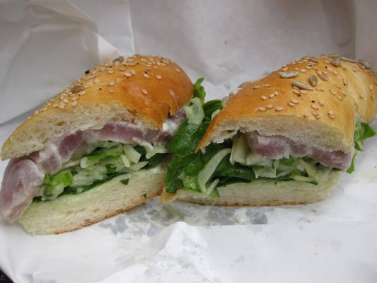 The Sentinel by null