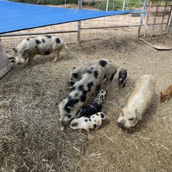 Hidden Haven Farms
