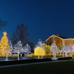 Mustard Seed Hill - A view of the Christmas lights from the artisan's market.