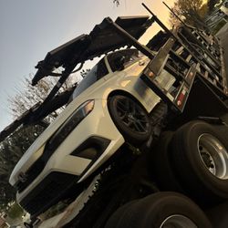 Spark Prime Logistics - Nice equipment