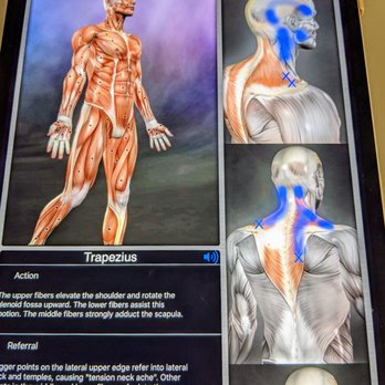 Modern Family Chiropractic - My diagnosis - Chiropractors Near Me - Sterling Heights, Michigan