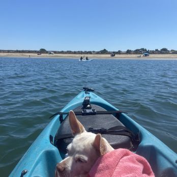 Furever Loved - Pet Cremation Services Near Me - Lake Elsinore, California Furever Loved - Pet Cremation Services Near Me - Lake Elsinore, California