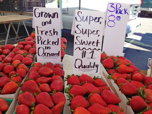 Downtown Oxnard Farmers Market by null