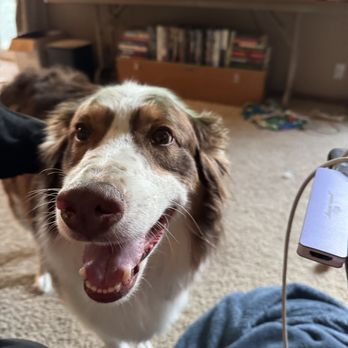 PetSmart - Pet Groomers Near Me - Omaha, Nebraska PetSmart - Pet Groomers Near Me - Omaha, Nebraska