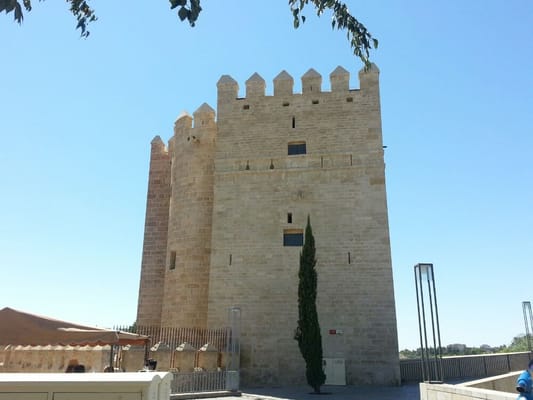 Torre de la Calahorra by null