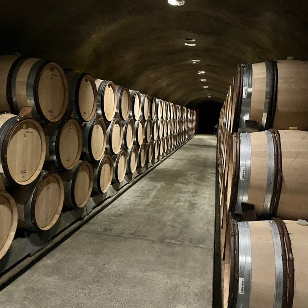 Far Niente - Barrels in the cave - Wineries Near Me - Oakville, California Far Niente - Barrels in the cave - Wineries Near Me - Oakville, California