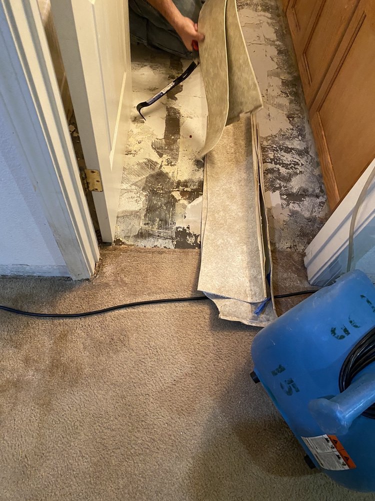 CPR CARPET & RESTORATION Updated August 2024 26 Photos & 14 Reviews