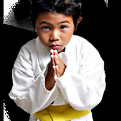 American Martial Arts Smithfield