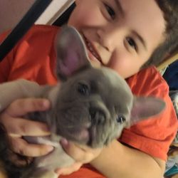 House Of Bluezz210 - Baloo with his new brother.