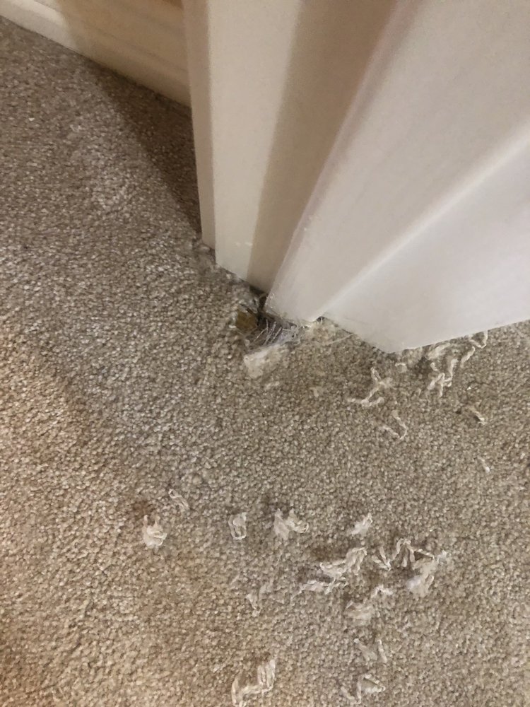 Slide of Blue Line Roofing & Construction - San Antonio