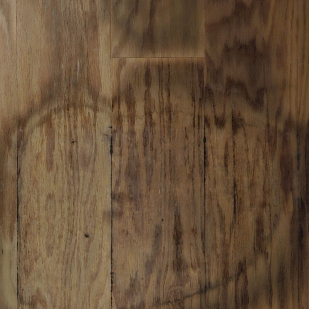 All Flooring USA - General Contractors Near Me - Orlando, Florida All Flooring USA - General Contractors Near Me - Orlando, Florida