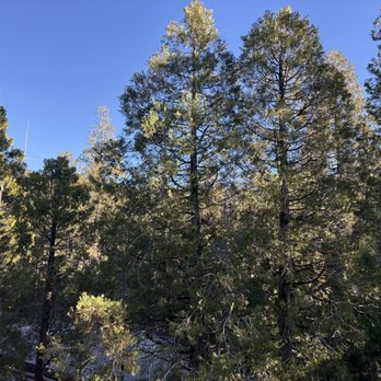 Idyllwild Brewpub - Brewpubs Near Me - Idyllwild, California
