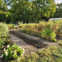 Gorman Heritage Farm