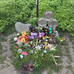 Where The Music Died - Memorial at crash site