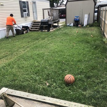 Disaster Aid - Before - Tree Services Near Me